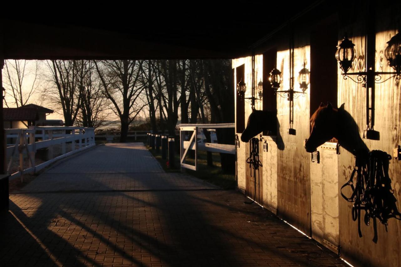 Luxus Resort Ruegen Residenz Kubitzer Bodden Rambin Zewnętrze zdjęcie