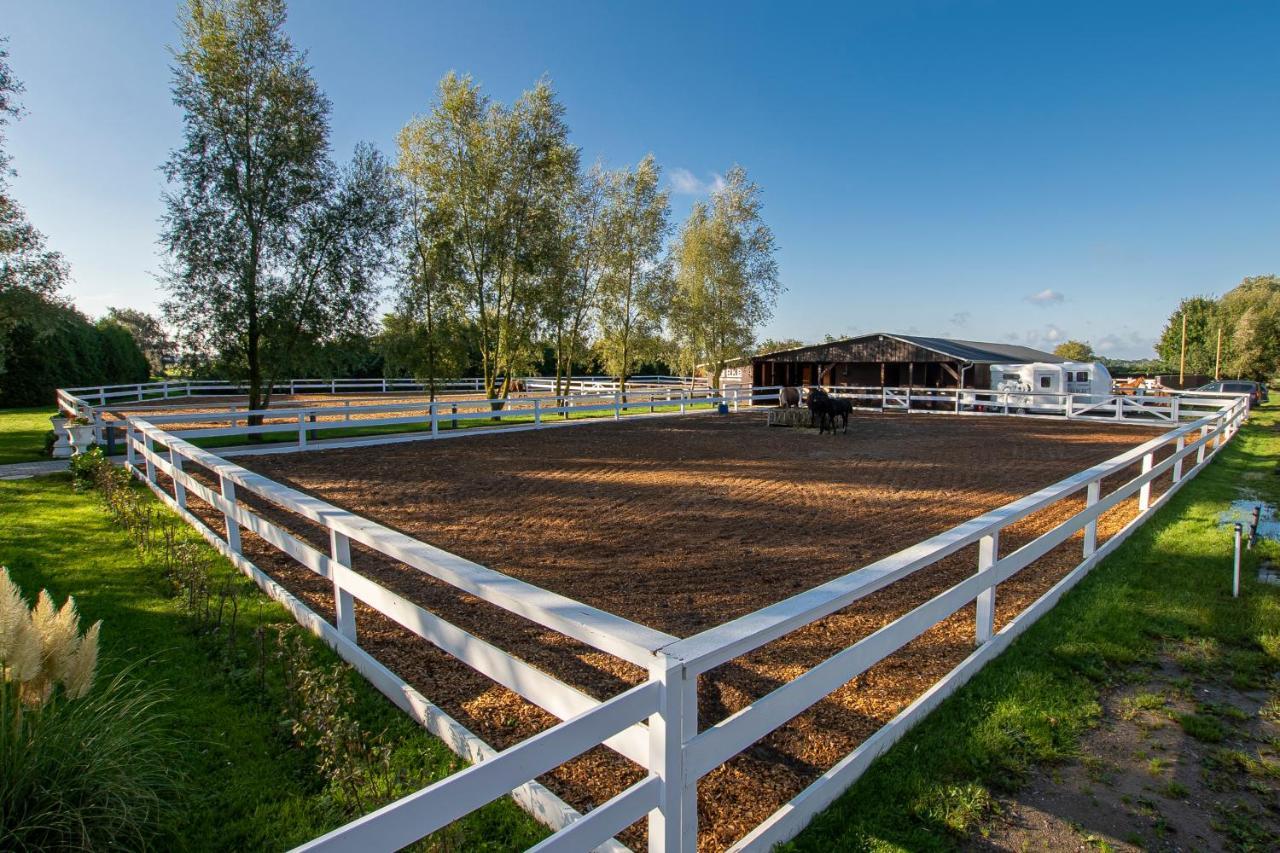 Luxus Resort Ruegen Residenz Kubitzer Bodden Rambin Zewnętrze zdjęcie